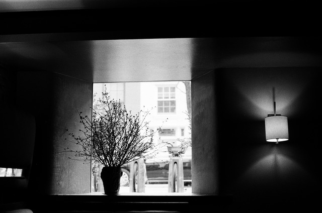black and white view of a bright window from a dark room. the window looks out to a nyc street and a citibike rack. the view is partially obscured by a potted plant. the room is dimly lit by a wall-mounted lamp.